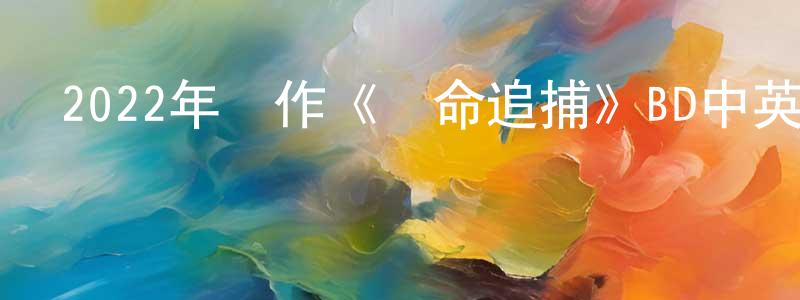 陳盛玉發布2022年動作《奪命追捕》BD中英雙字迅雷下載_深夜電影